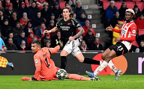 Bet King Site: Ultimate Guide for Homeowners